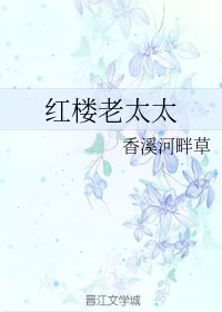 (红楼同人)红楼老太太
